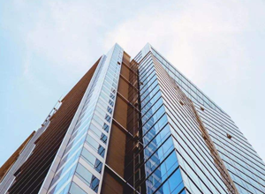 武漢鄉(xiāng)村振興模型